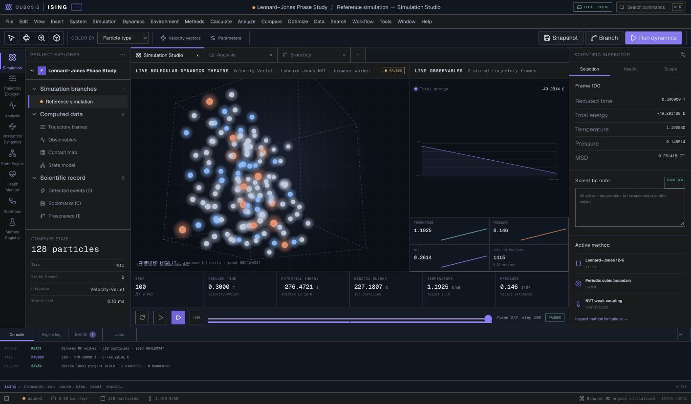 Ising simulation workspace captured from the source application